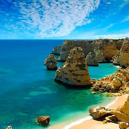 بيت شباب The Lighthouse